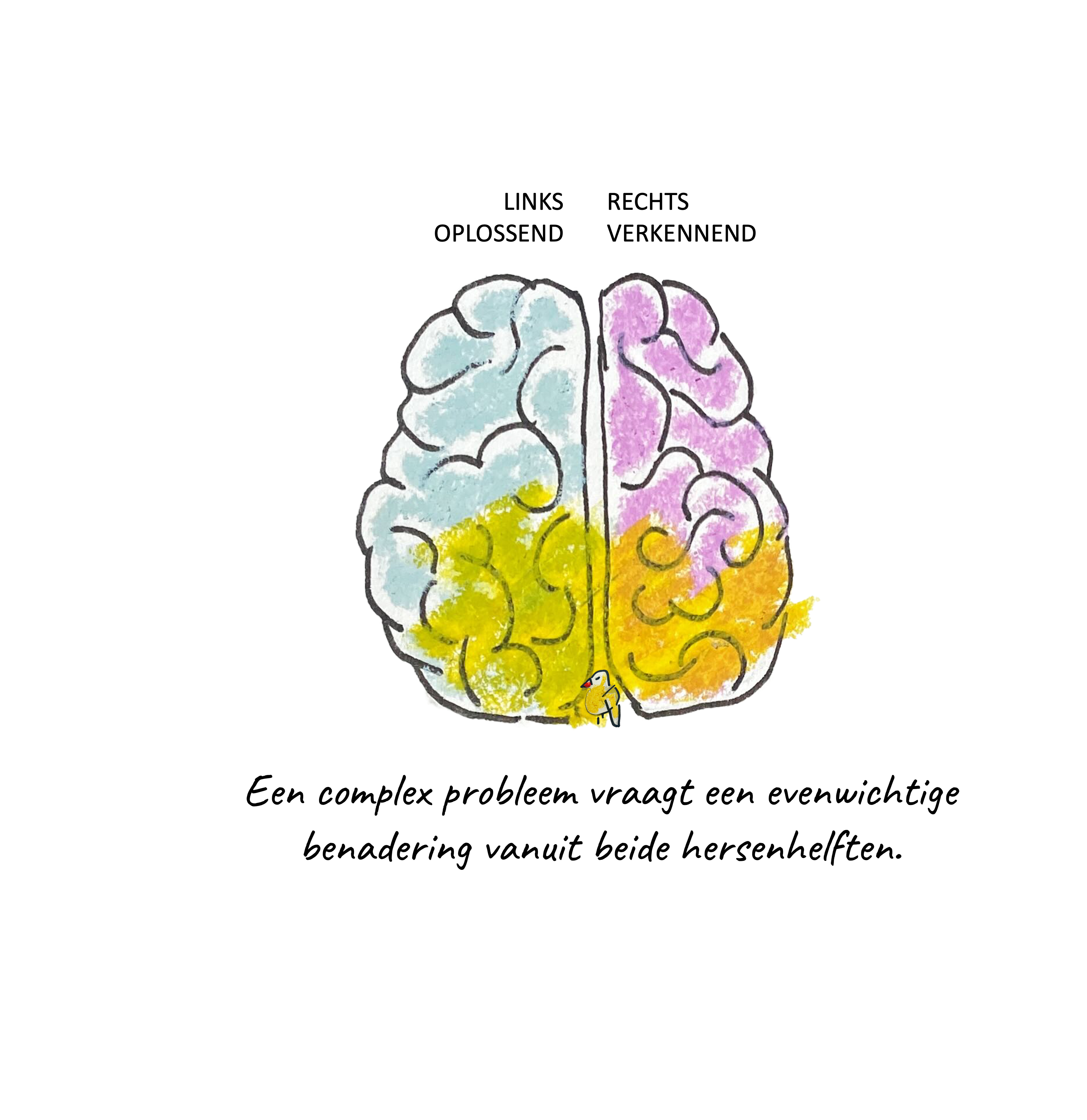 hersenen vrijstaand caveat